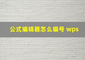 公式编辑器怎么编号 wps